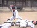 Hapkido Tradicional
