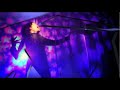 Sevencollar T-Shirt Fragile Video and Lyrics