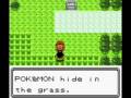 videos de Pokemon Diamond/Pearl - Route 202 8-Bit remix