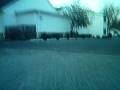 videos de racing lawn mower cemetary run