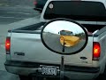 Illegal turn