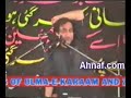 Shia Zakir Insulting & Abusing Sahabas #4 (Urdu)