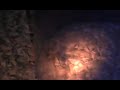 Brown Recluse Spider