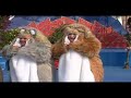 JACOB SISTERS HAMPSTERDANCE