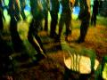 งานซวดลวด โคราช 7-02-2010.AVI