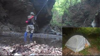 奥多摩でソロキャンプ、精霊の住む渓流を満喫しました
