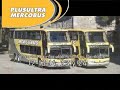 Mercobus Publicidad