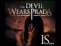 the devil wears prada   dogs can grow beards all over