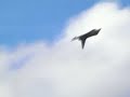 Spanish Typhoon at Riat 2007