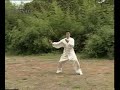 Funai Imperial yang taichi xiaojia