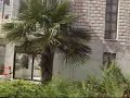 demirkaya tatil köyü site alican