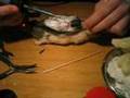 rat taxidermy with LED eyes mod - full video - gore warning!