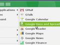 Internet Powered Operating System (Linux + Web 2.0) gOS