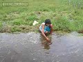 Plantio de Arroz Org�nico
