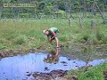 Plantio de Arroz Orgânico