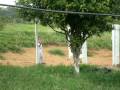 videos de 2009 985
