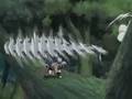 videos de Naruto Fight