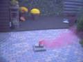 bonbridge rookbom rood