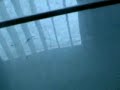 Minty-1-The-Movie-Mi