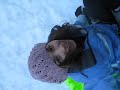lauren sleds into the rest of timmay
