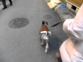 スカートが気になる！