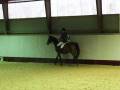 videos de LC:1 / 29 nov 2008