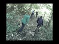 mtb lelystad forum meeting