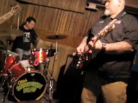 THE VIVISECTORS -- "SNAKE MISTRESS"