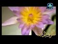 Asma Allah ul-Husna - Mishary Al-Afsay