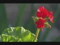 North Cyprus Tourism Advert commercial