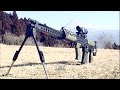 Superfluous Information: There is a large speculation that the Allies in the game will be the United States Marine Corps, and the British Special Air Service, and the Axis will be North Korean Nationalists and Al Quaeda Terrorists. (REVISED VIDEO!) Here are some possible/announced weapons and perks for CoD:MW2. Music: 