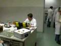 videos de Laborkrise PART 1