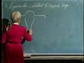 Integrative-Biology-
