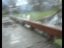 JCWT compilatie pigi