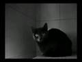 Velvetopia - Rain (trip-hop)