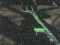 Shadow Tree Projection
