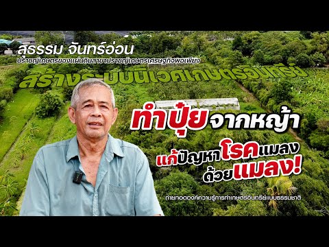 ทำปุ๋ยด้วยหญ้าแก้ปัญหาโรคแมลงด้วยแมลง