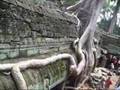 Angkor Video Montage