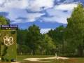 videos de Golden Tee Great Shot on Sunny Wood!