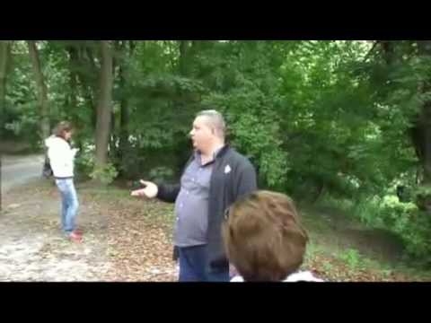 YouTube Трейлер