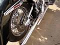 1993 Harley Davidson FLSTC Soft Tail