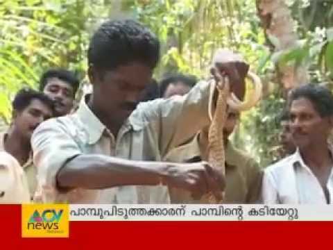 Cobra attacks Vava Suresh Live