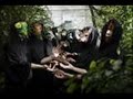 The Sound Of Animals Fighting - NEW SONG!!! HERALDIC BEAK The Sound Of Animals Fighting - NEW SONG!!! HERALDIC BEAK