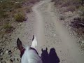 Same trail...