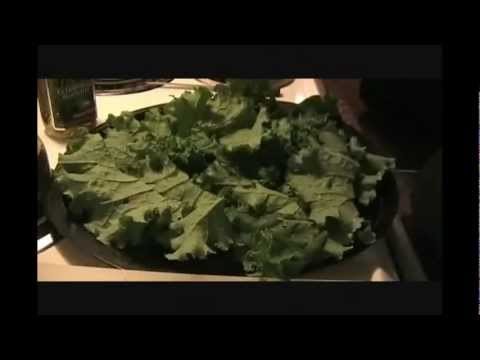 how to grow dinosaur kale