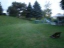 Hpi savage Backflips XL Modded LRP
