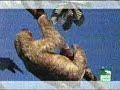 SLOTH SLOTH