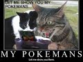 Demotivational Posters