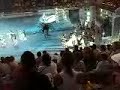 Xcaret! Xcaret!