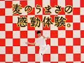 松山ケンイチ